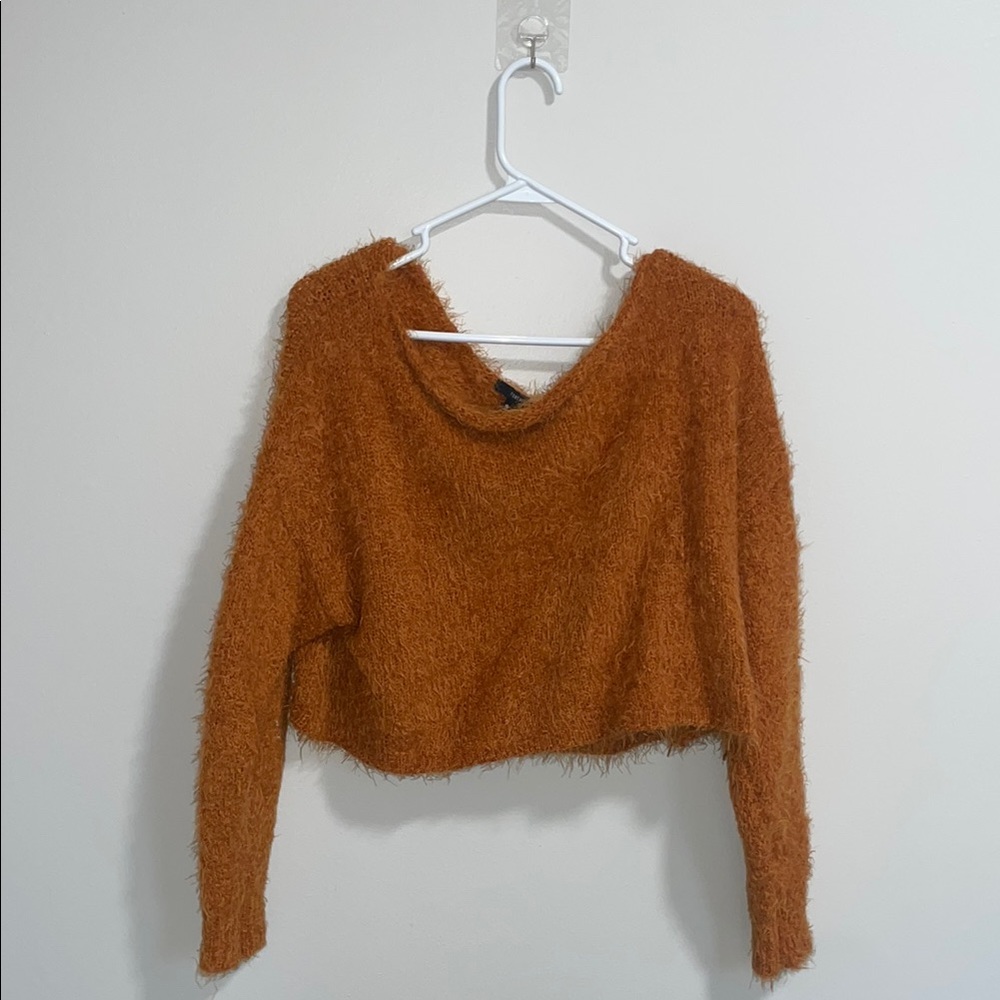 Cozy Rust Sweater